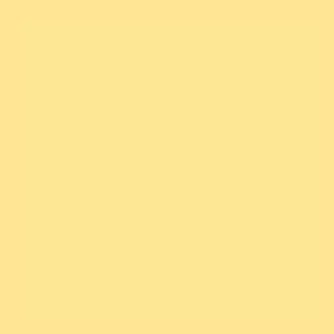 1017 Lemon Countertop