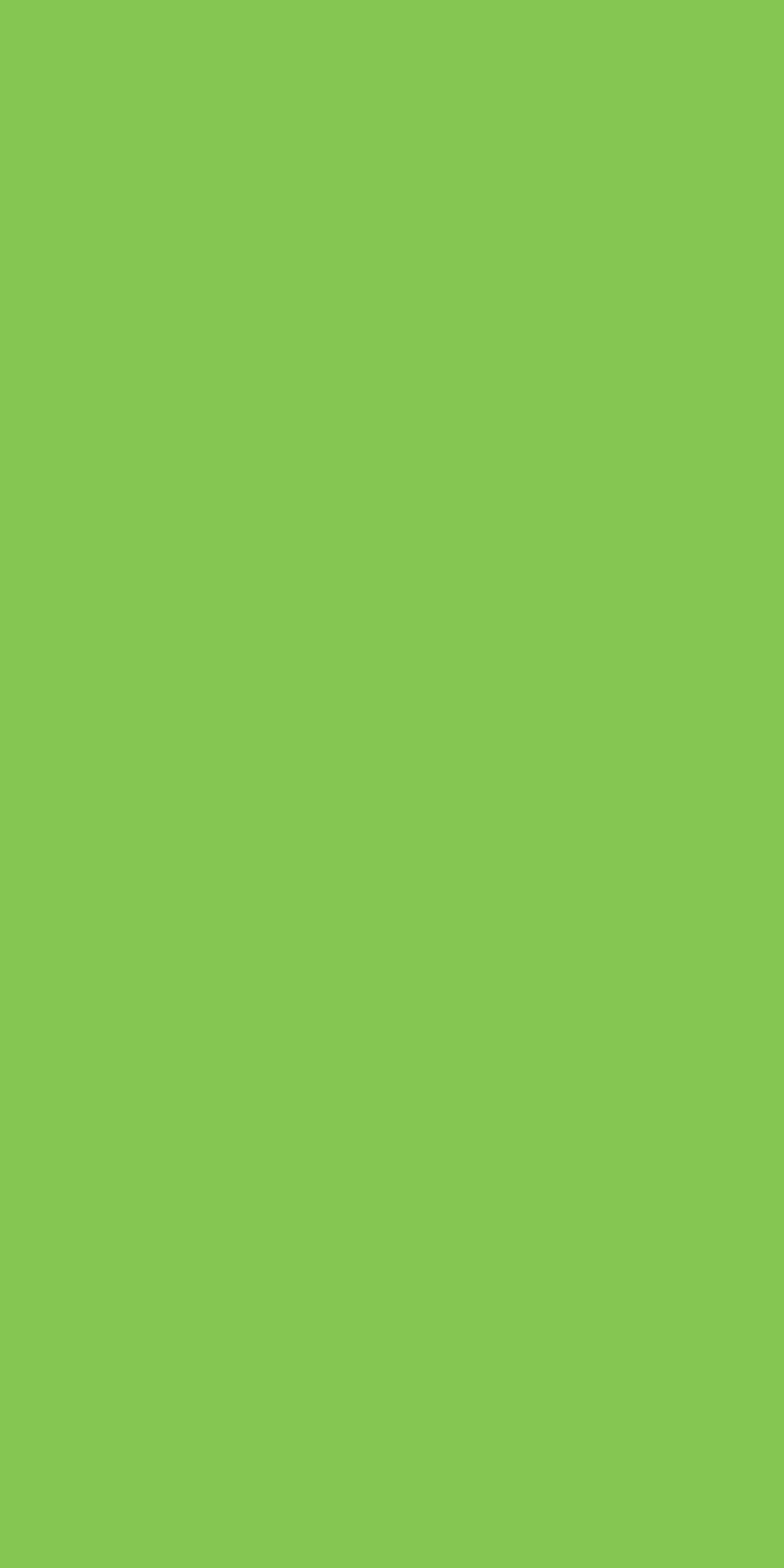 5013 Bright Green Countertop