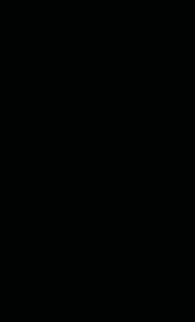 Product Image - 1004