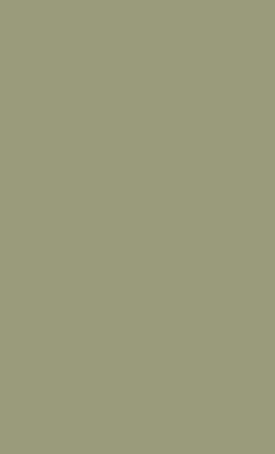 Product Image - 1013
