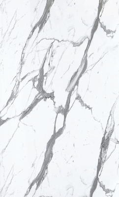 5574 Statuario Countertop