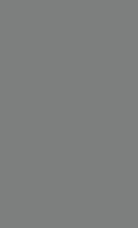 L06092 Galet Grey Countertop
